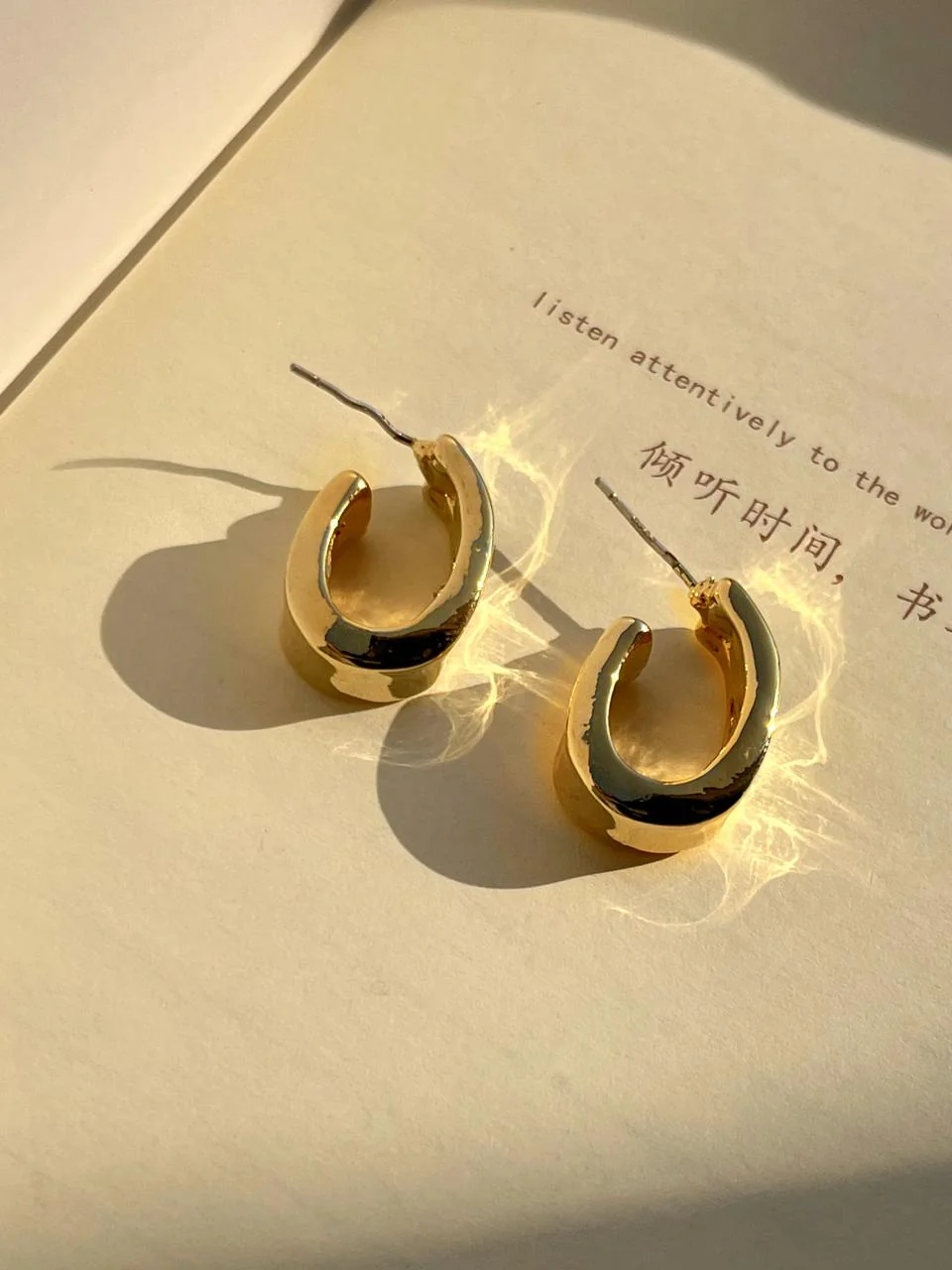 Bold Aesthetic Hoop Earrings