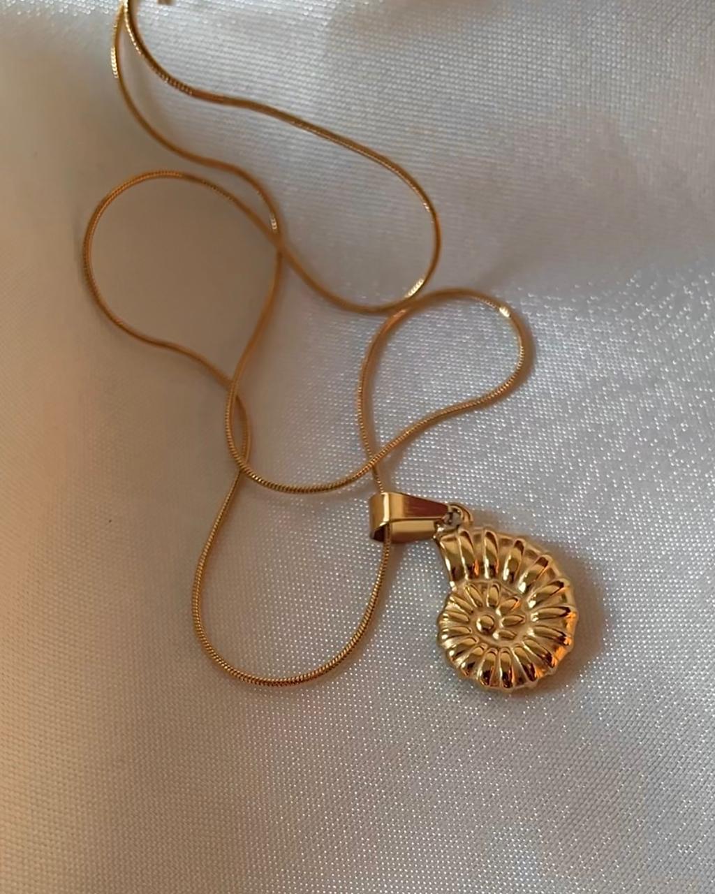 Nautilus Solid Necklace - Image 2