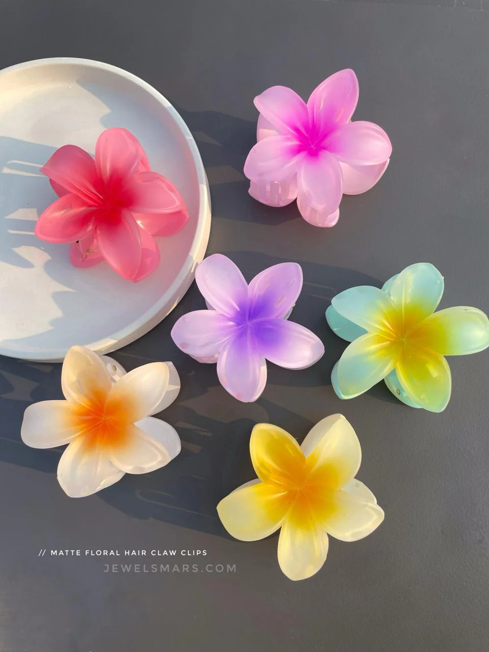 Pinterest Hair Claw Clips - matte finish - Image 2