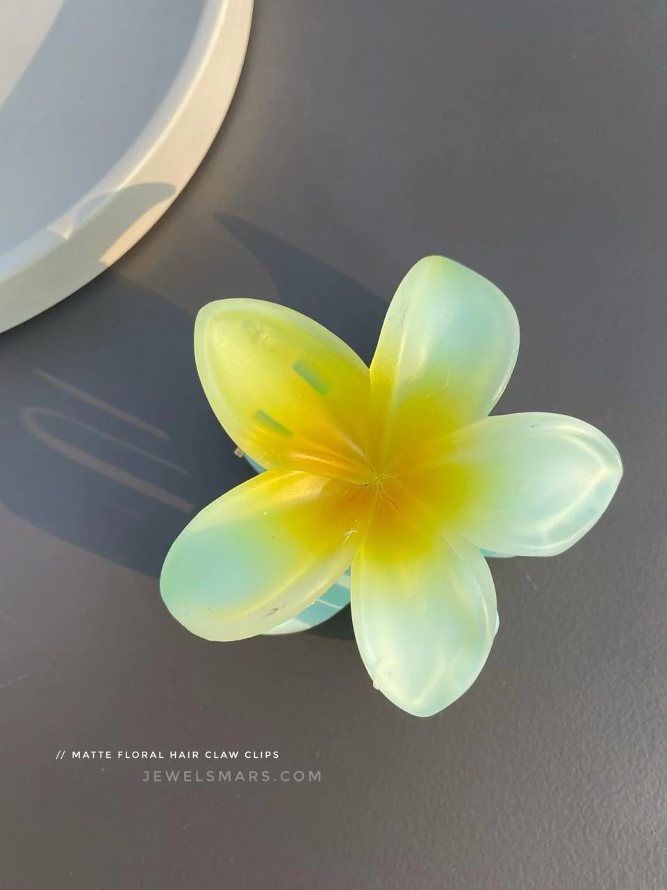 Pinterest Hair Claw Clips - matte finish - Image 4