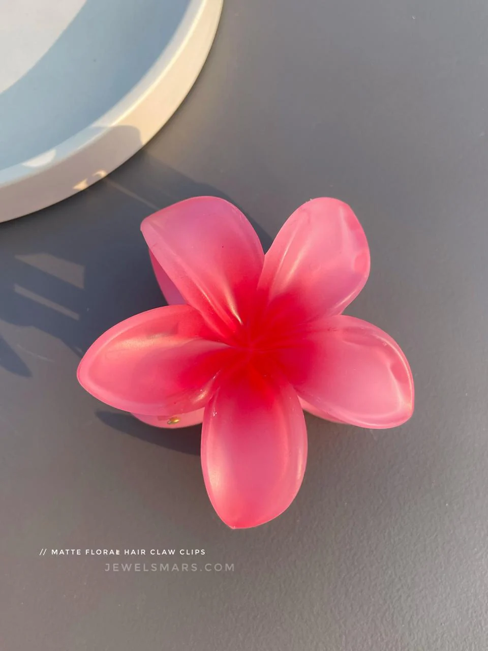 Pinterest Hair Claw Clips - matte finish - Image 5