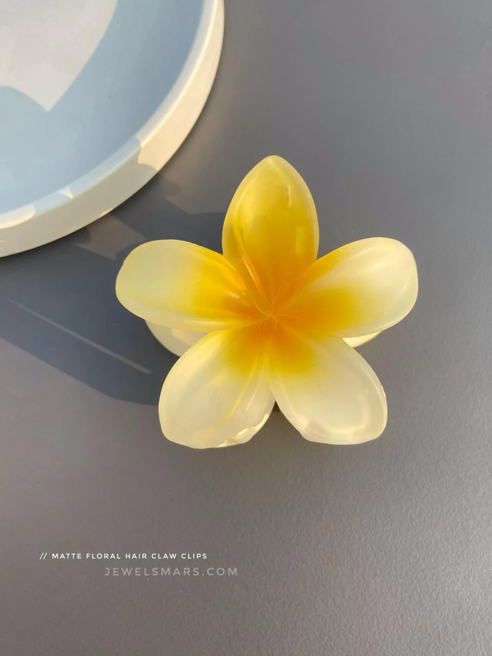 Pinterest Hair Claw Clips - matte finish - Image 7