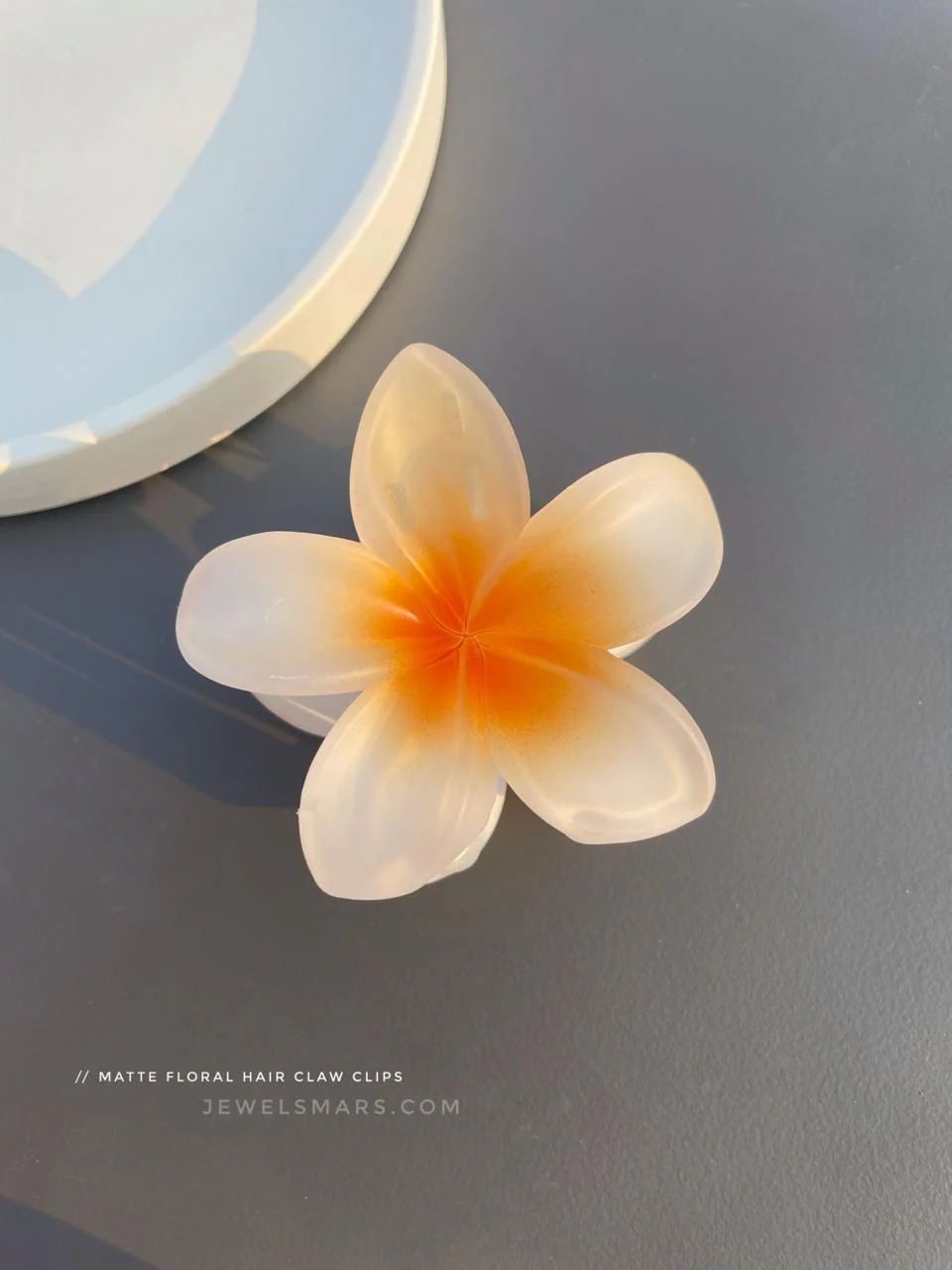 Pinterest Hair Claw Clips - matte finish - Image 8