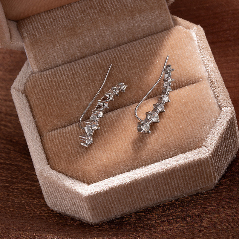 Serving Sparkles Earrings - Image 4